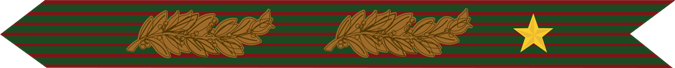 United States Marine Corps French Croix De Guerre Campaign Streamer with two palms and one gilt star 